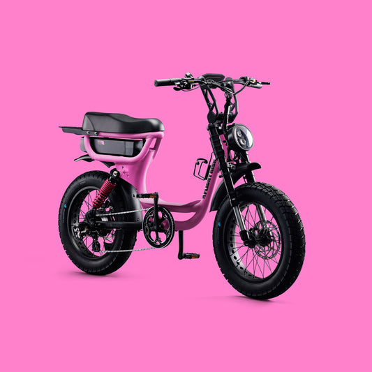 FR333 - Pink