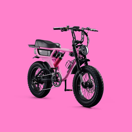 FR555 - Pink