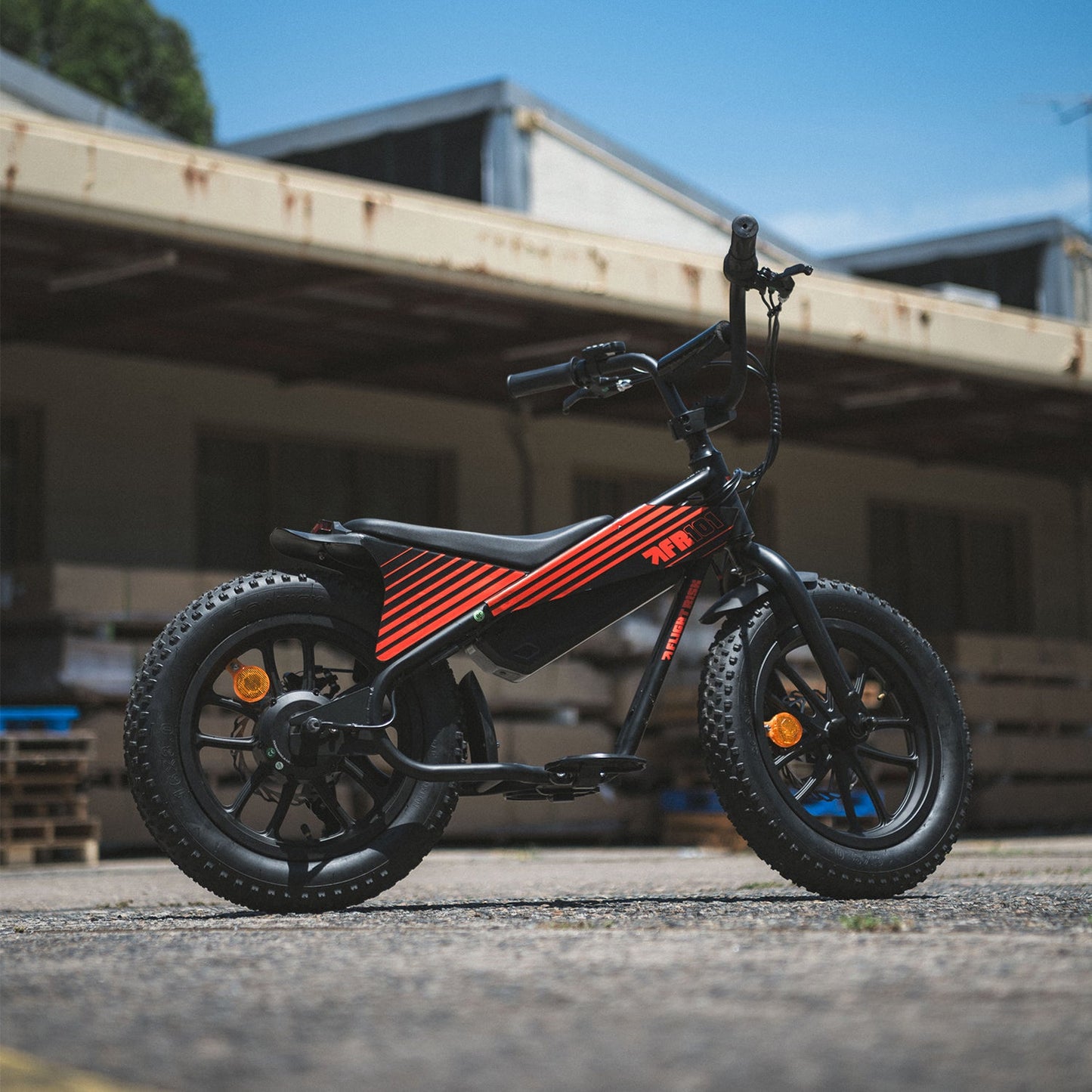Kids e-bike FR101 from Flight Risk