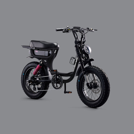 FR333 - Black